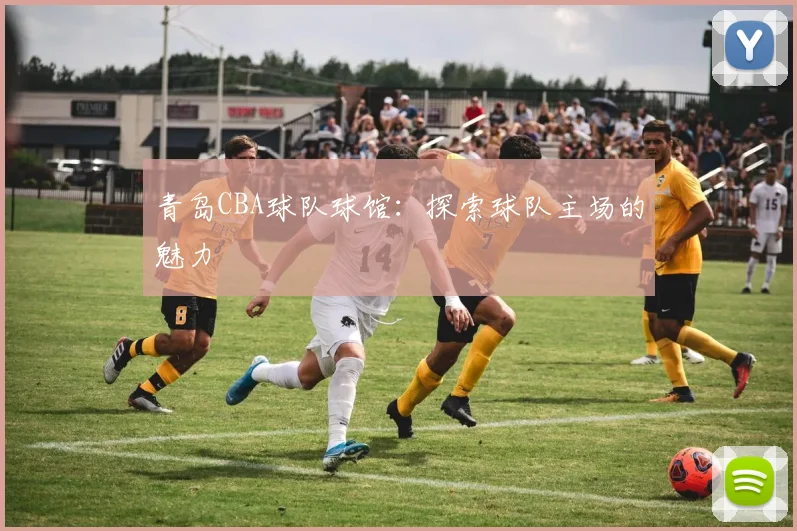 青岛CBA球队球馆：探索球队主场的魅力