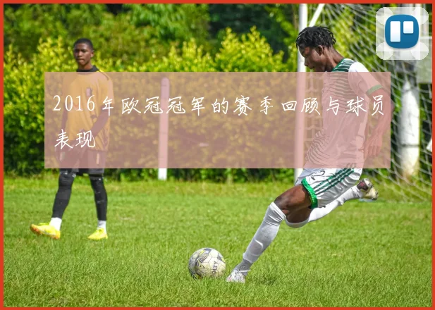2016年欧冠冠军的赛季回顾与球员表现