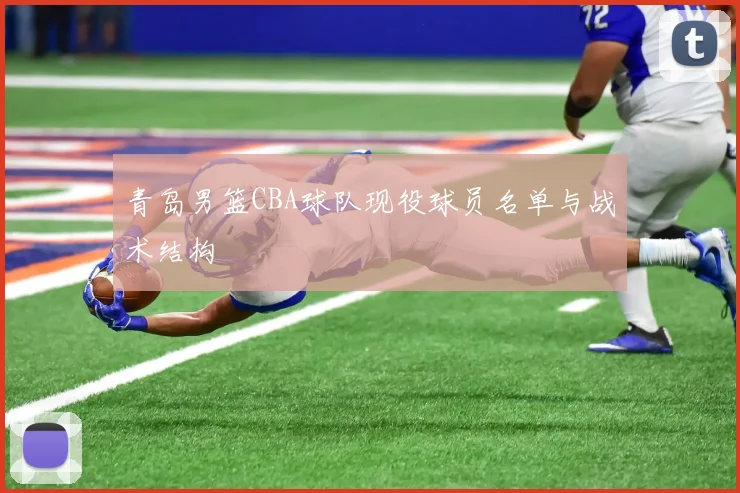 青岛男篮CBA球队现役球员名单与战术结构