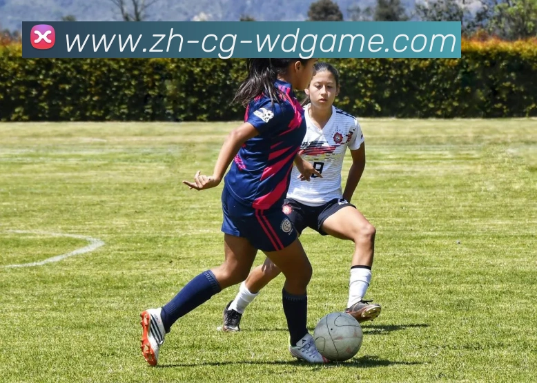 问鼎娱乐全站App 问鼎娱乐全站App